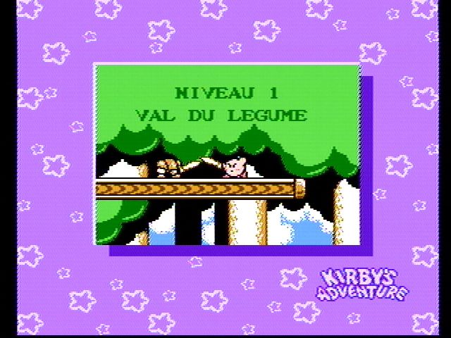 Kirby's Adventure screenshot 5 for NES